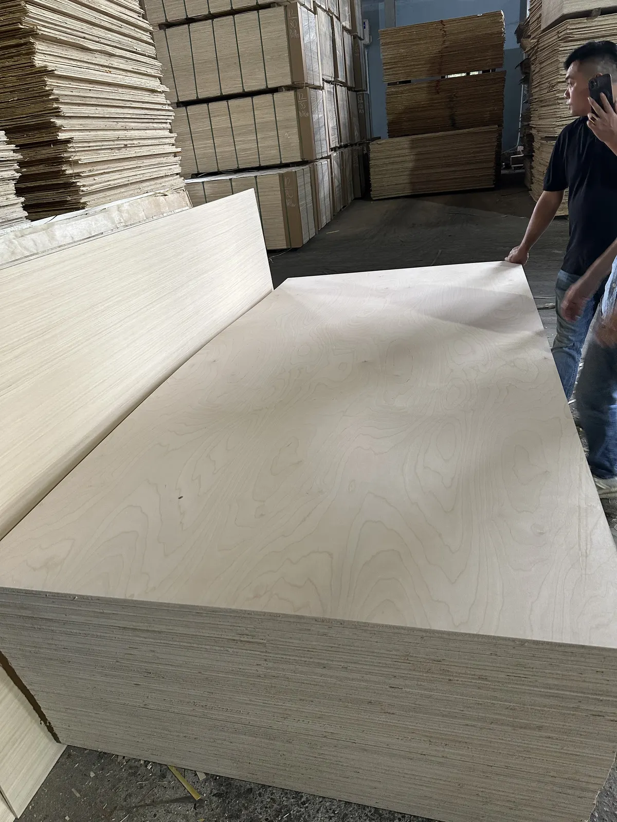 Real birch face plywood panels