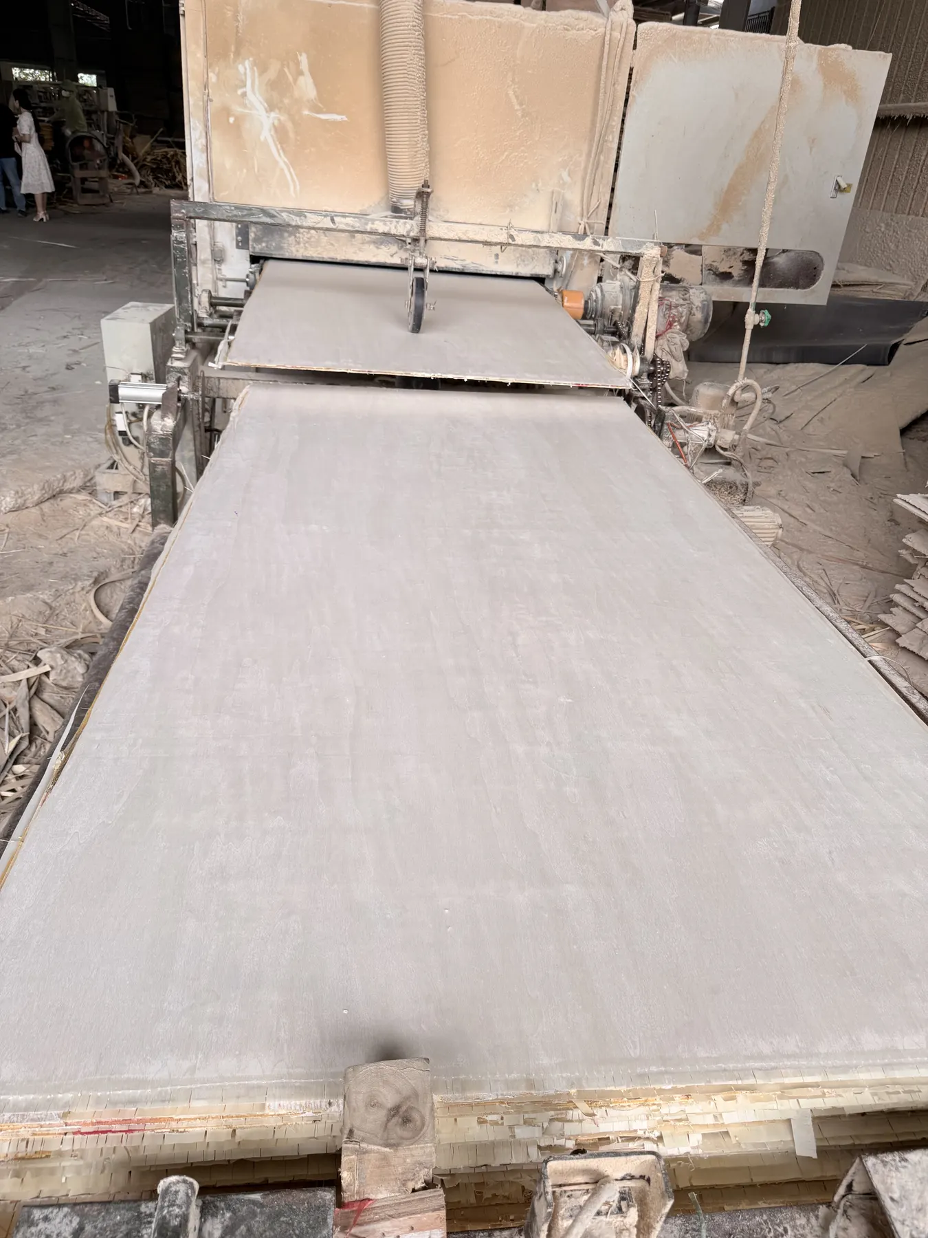 Plywood production line